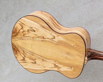 Guitar Backs
